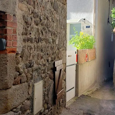 Villa Le Pat' Toit A La Traboule Aurec-Sur-Loire Esterno foto